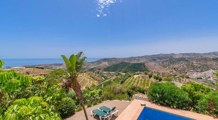 Photo of The Vine of the Mountain