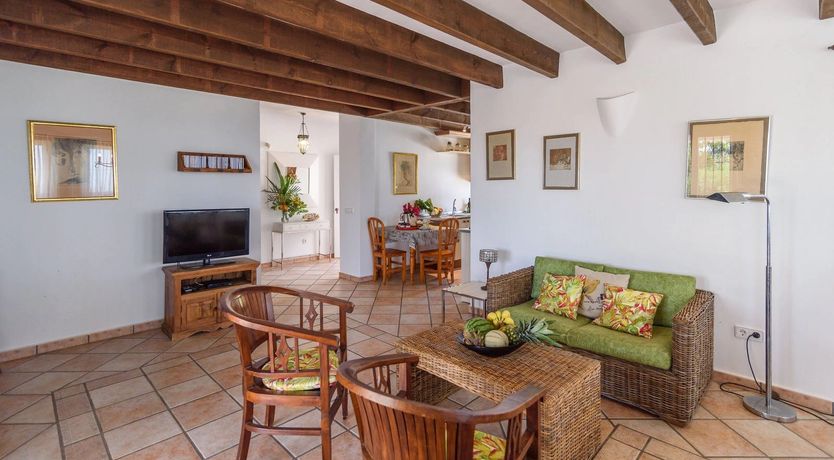 Photo of The Vine of the Mountain