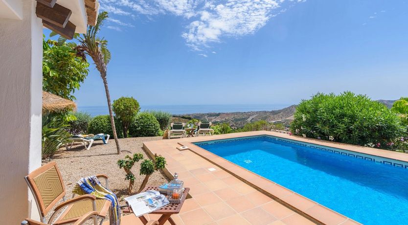 Photo of The Vine of the Mountain