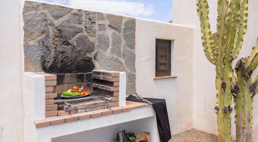 Photo of The Vine of the Mountain