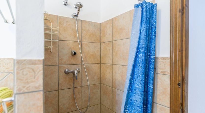 Photo of The Vine of the Mountain