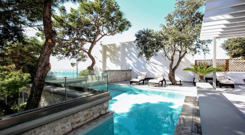 Photo of The Festival Bloom