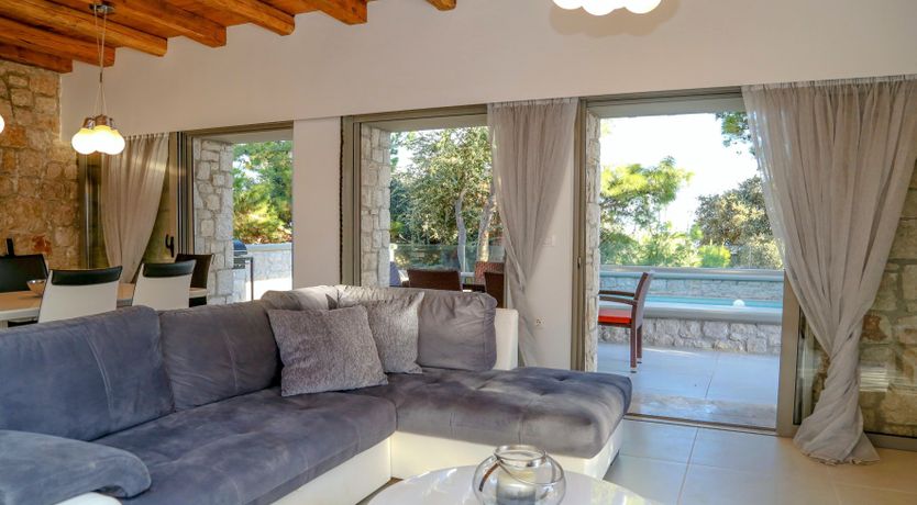 Photo of The Festival Bloom