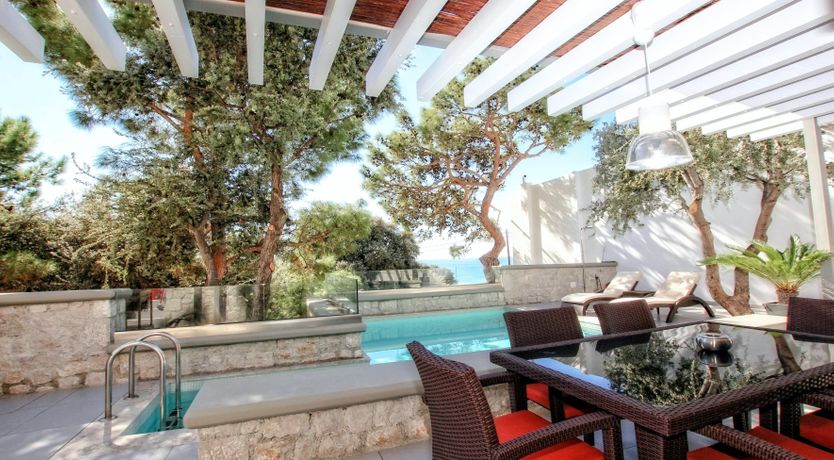 Photo of The Festival Bloom