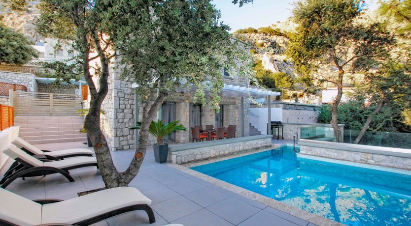 Photo of The Festival Bloom