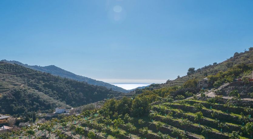 Photo of A Little Breeze