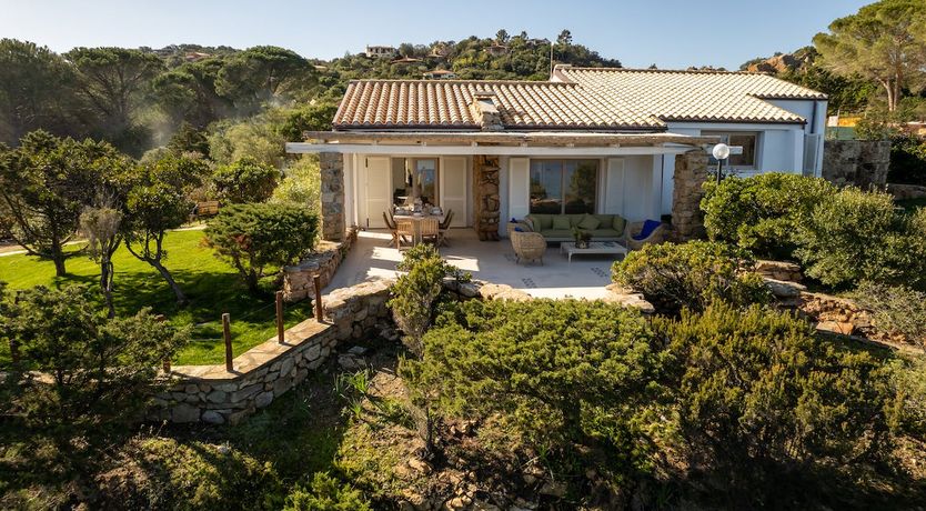 Photo of The Black Rose