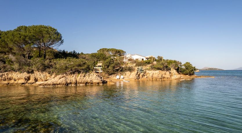 Photo of The Black Rose