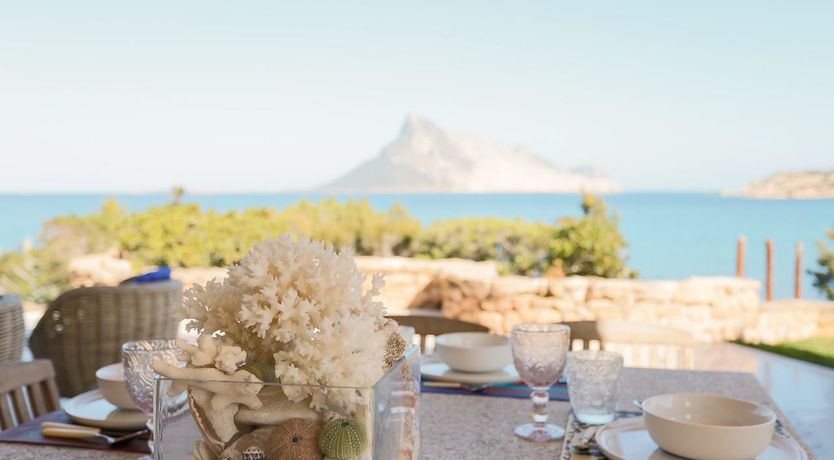 Photo of The Black Rose