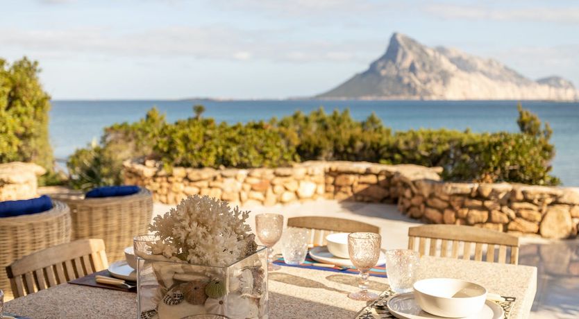 Photo of The Black Rose