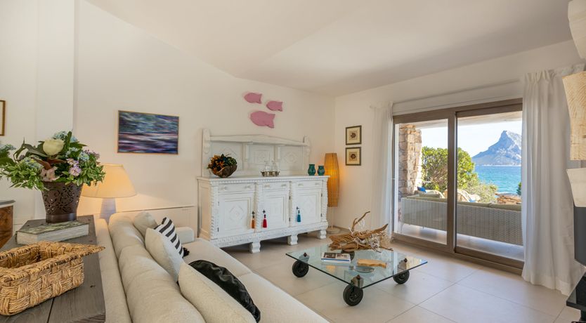 Photo of The Black Rose