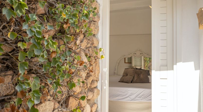 Photo of The Black Rose