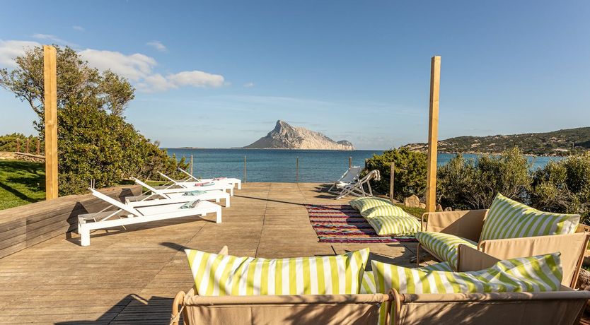 Photo of The Black Rose