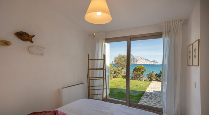 Photo of The Black Rose