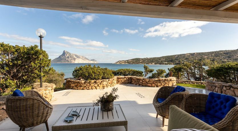 Photo of The Black Rose