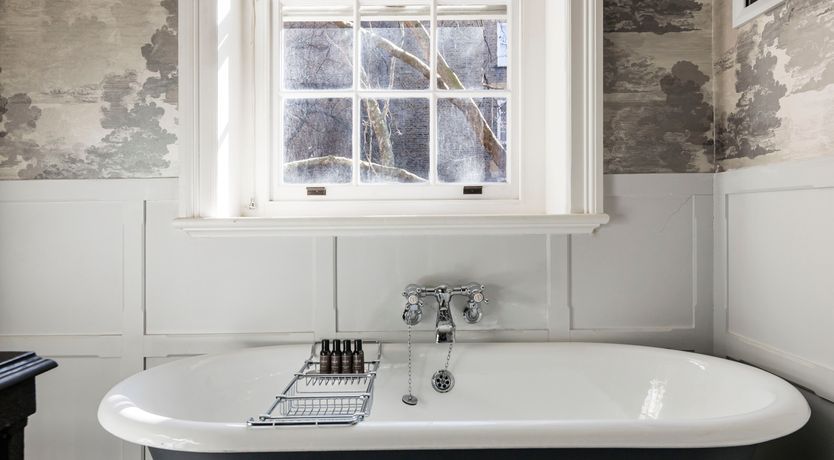 Photo of The Queen's Nod