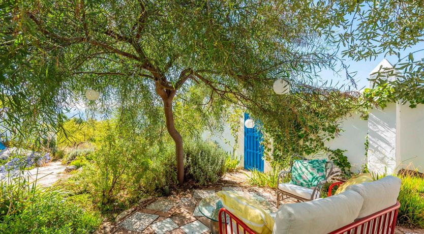 Photo of Spanish Blue