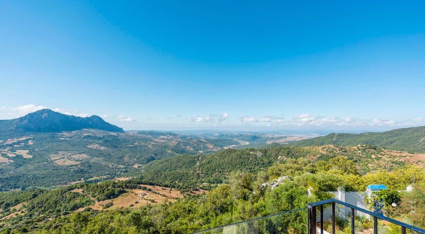 Photo of Spanish Blue