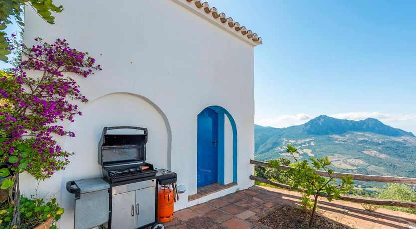 Photo of Spanish Blue