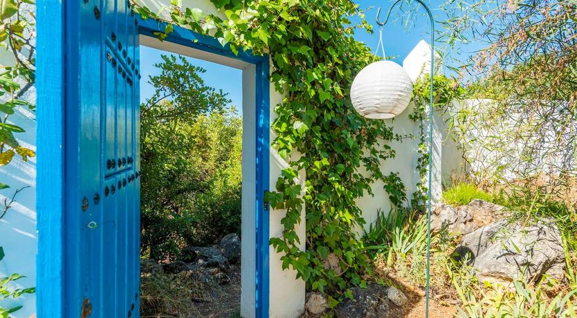 Photo of Spanish Blue