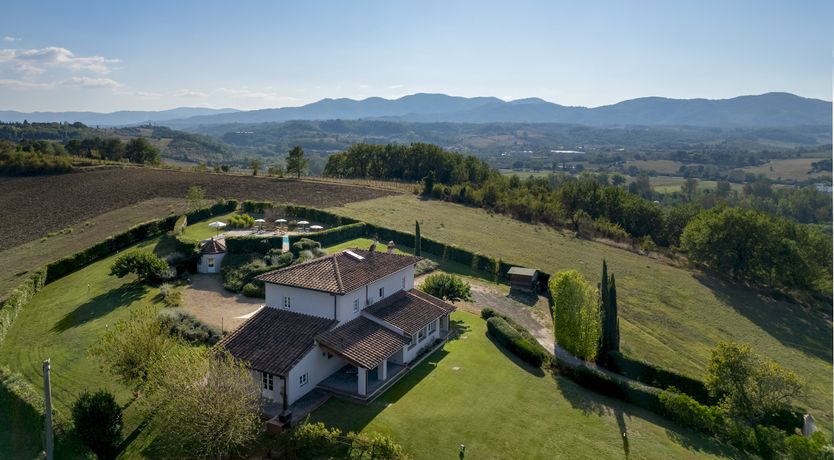 Photo of Olives & Roses