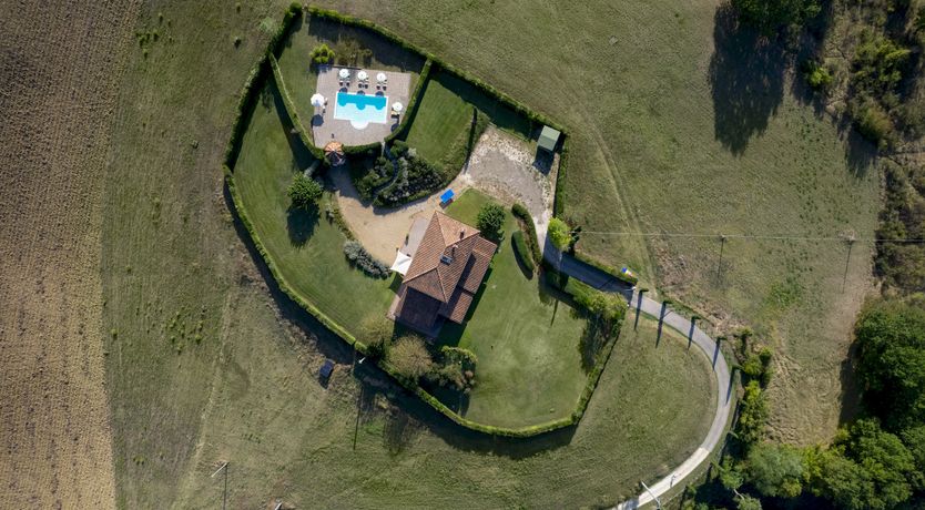 Photo of Olives & Roses