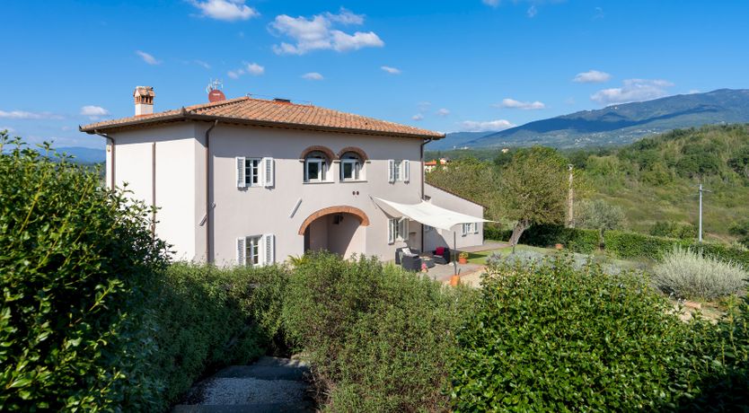 Photo of Olives & Roses