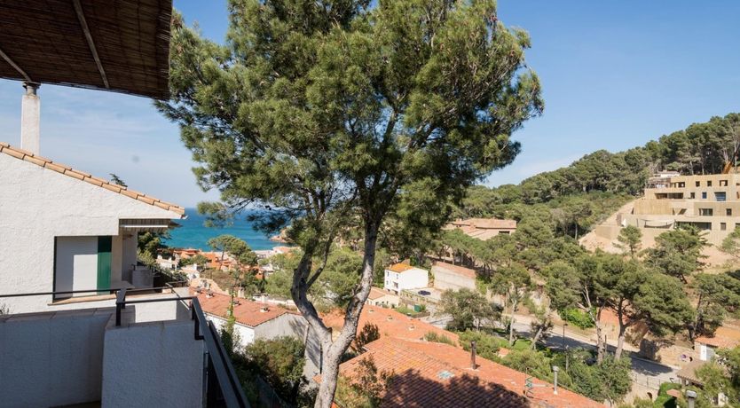 Photo of The Sun of Spain