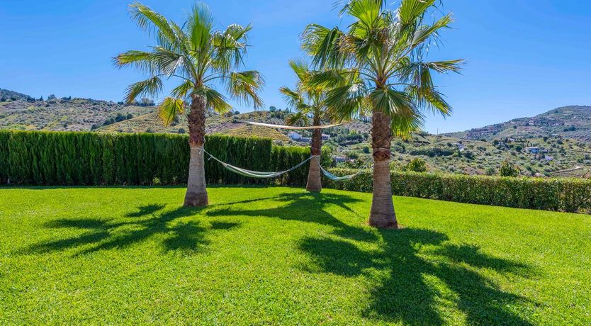 Photo of A Mountain's Tale