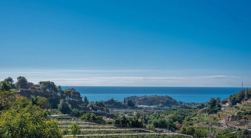 Photo of The Way of the Mountain