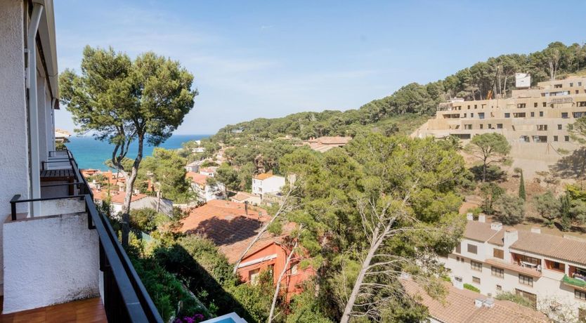 Photo of Sunday Morning Sunshine