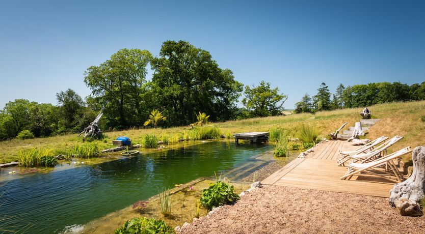 Photo of The Road to the Meadow