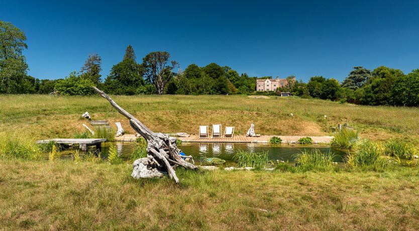 Photo of The Road to the Meadow