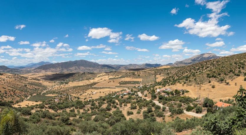 Photo of Simply Casa