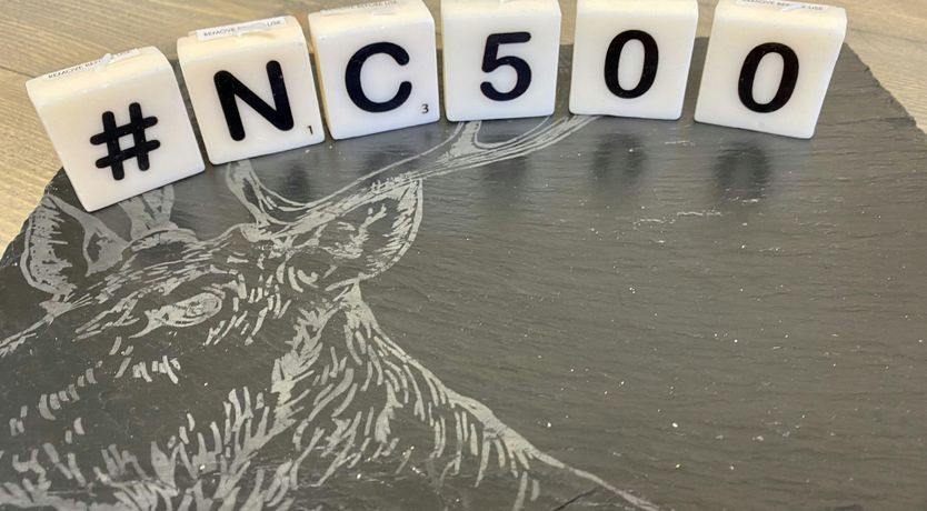 Photo of Bask in the Bay