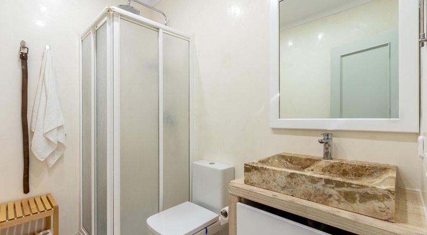 Photo of The Vines of Nature