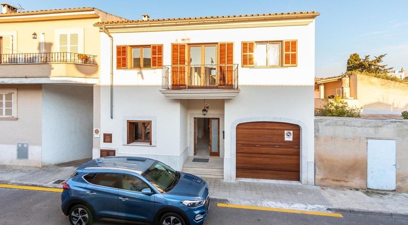 Photo of The Vines of Nature