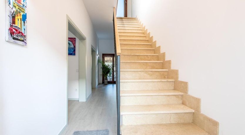 Photo of The Vines of Nature