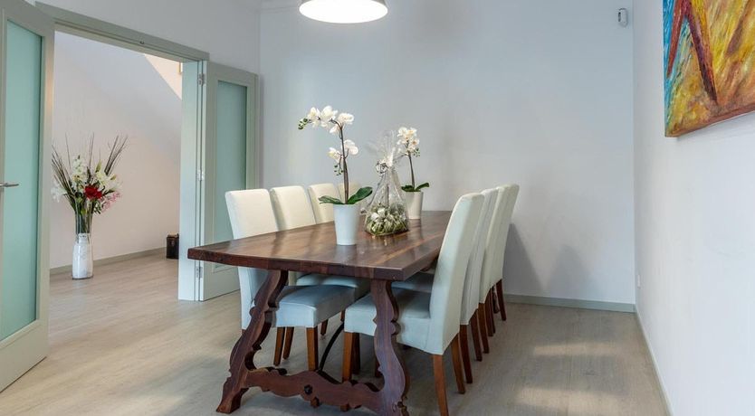 Photo of The Vines of Nature