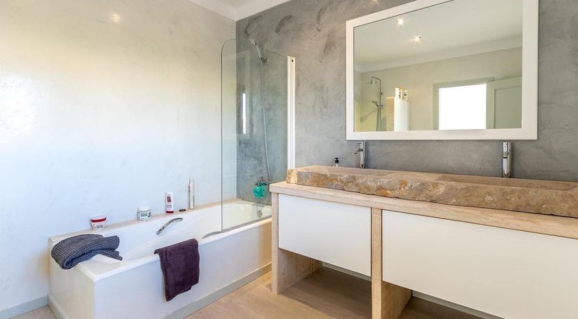 Photo of The Vines of Nature