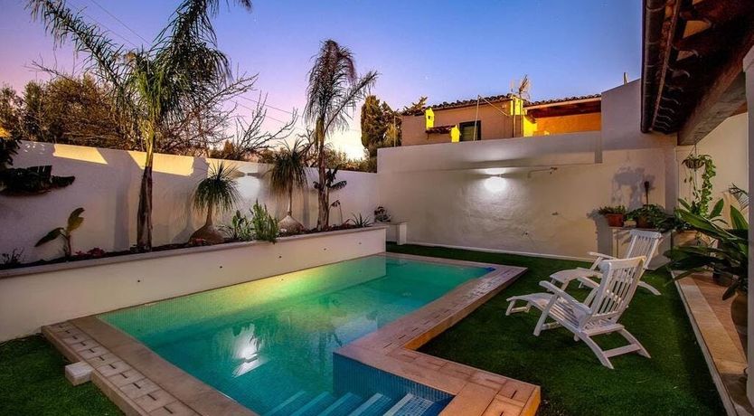 Photo of The Vines of Nature