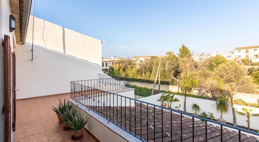 Photo of The Vines of Nature