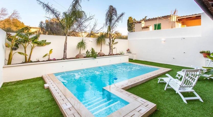 Photo of The Vines of Nature