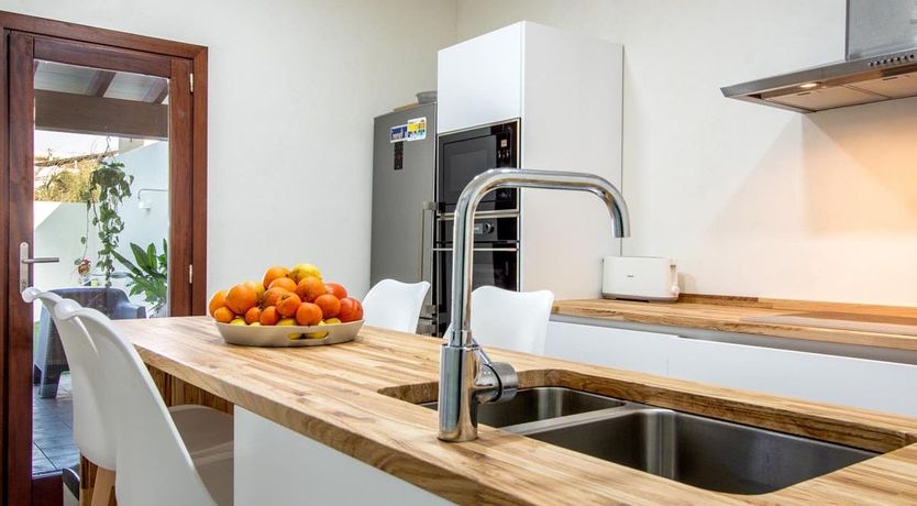 Photo of The Vines of Nature