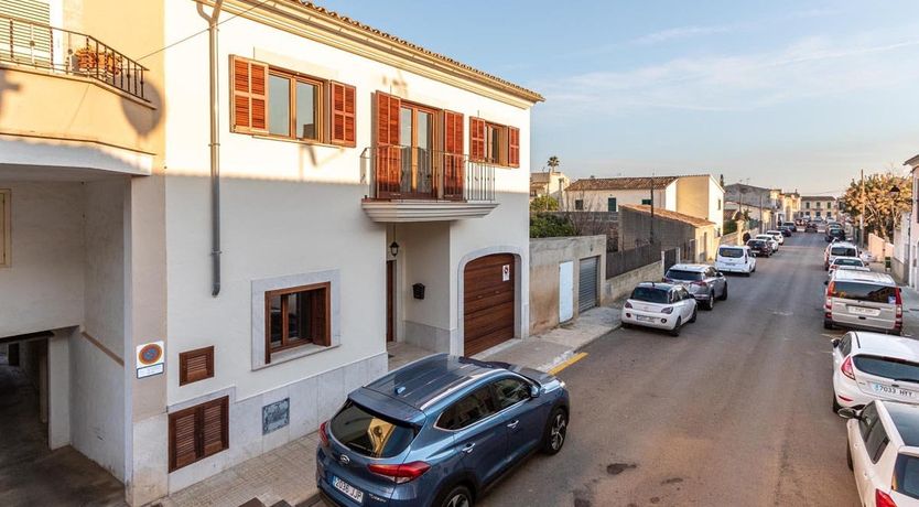 Photo of The Vines of Nature