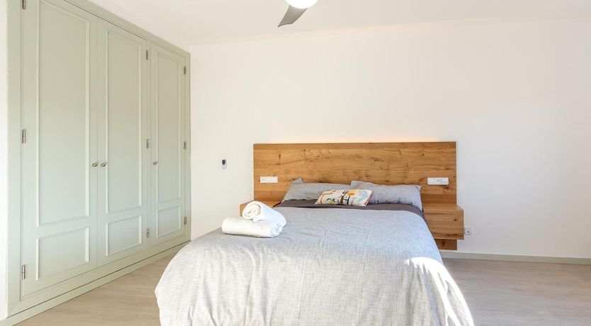 Photo of The Vines of Nature