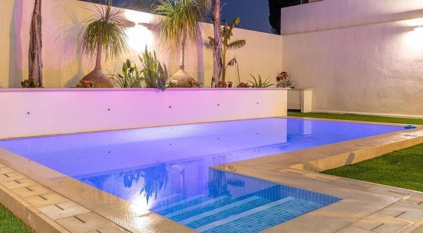 Photo of The Vines of Nature