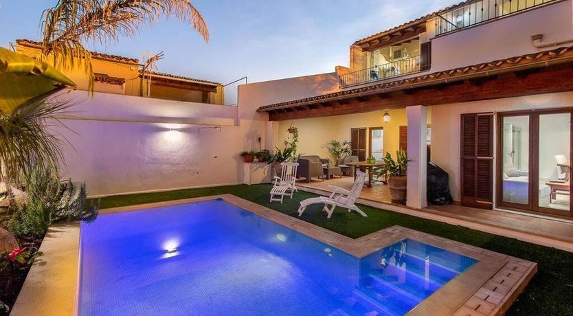 Photo of The Vines of Nature