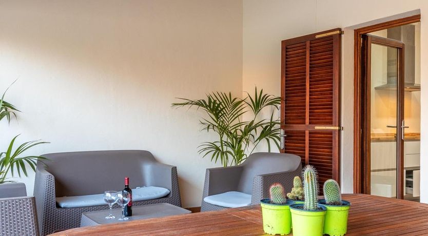 Photo of The Vines of Nature