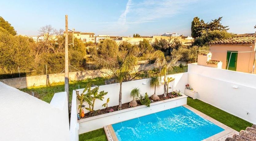 Photo of The Vines of Nature